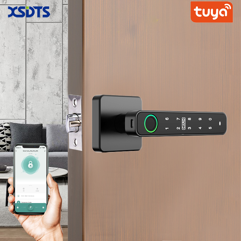 Smart Home Keyestudio - XSDTS Tuya Handle Fingerprint Key Card