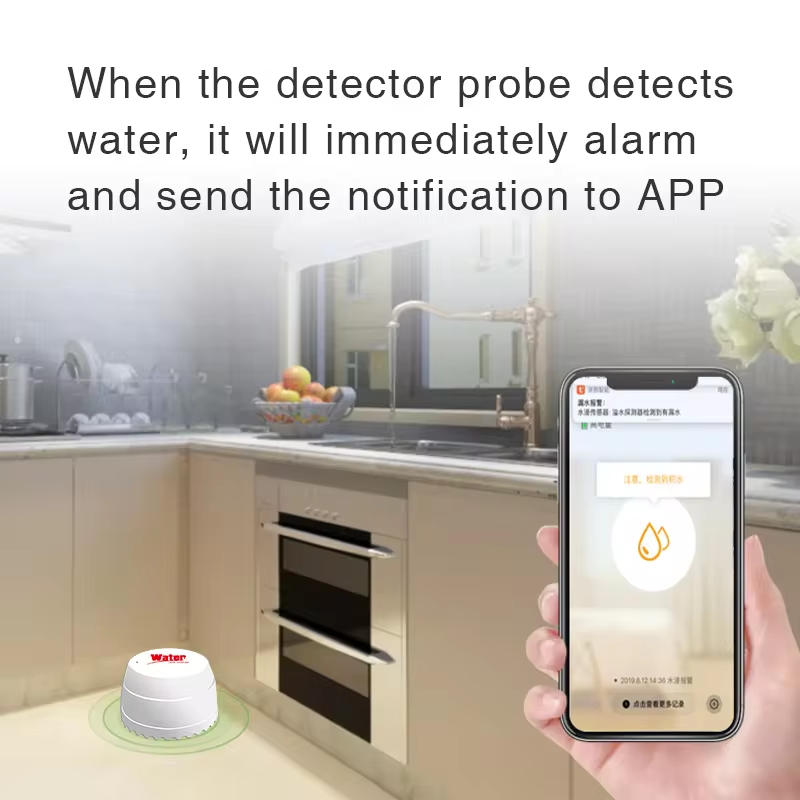 Tuya WiFi Water Leak Detector  - đánh giá và giá Smart Home Google Assistant