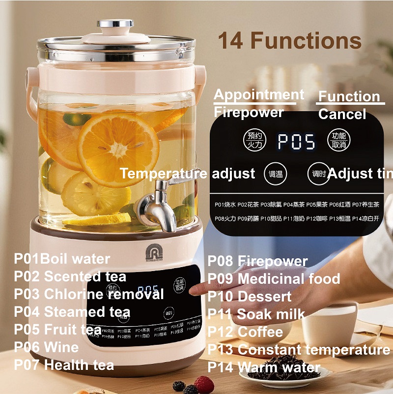 3L Electric Kettle Smart Tea B - đánh giá và giá Home Smart Kettle