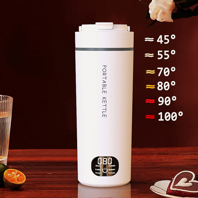 100V-240V Portable Electric Ke - đánh giá và giá Home Smart Kettle