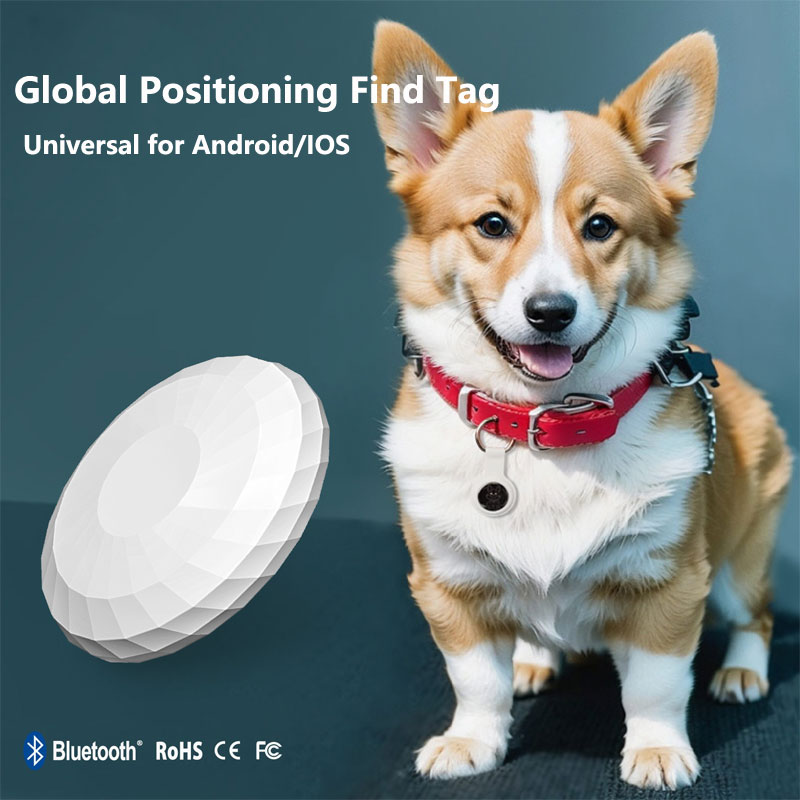 Smart Tag Really Global Positi - đánh giá và giá Smart Home Google Assistant